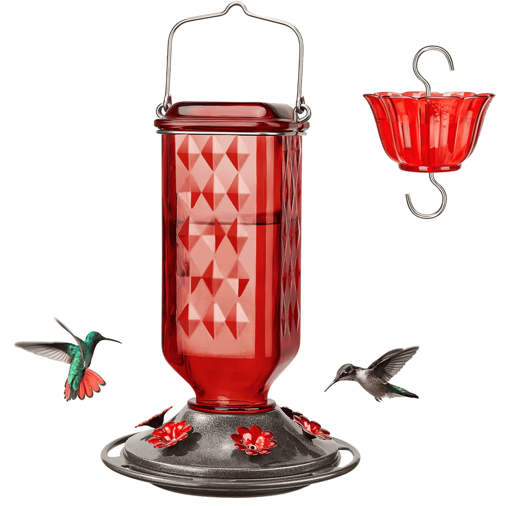 Glass Hummingbird Feeder